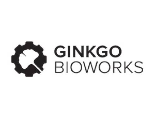Ginkgo Bioworks