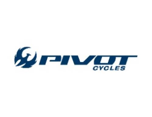 Pivot Cycles